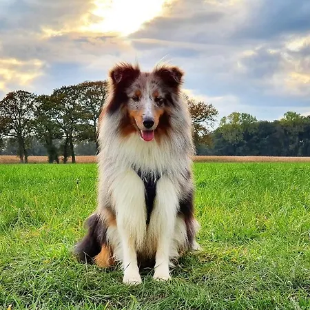 Ankerherz - Besonders Familienfreundlich, Hunde Willkommen! *